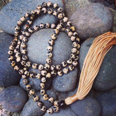 Dalmatian Jasper Jaap Mala